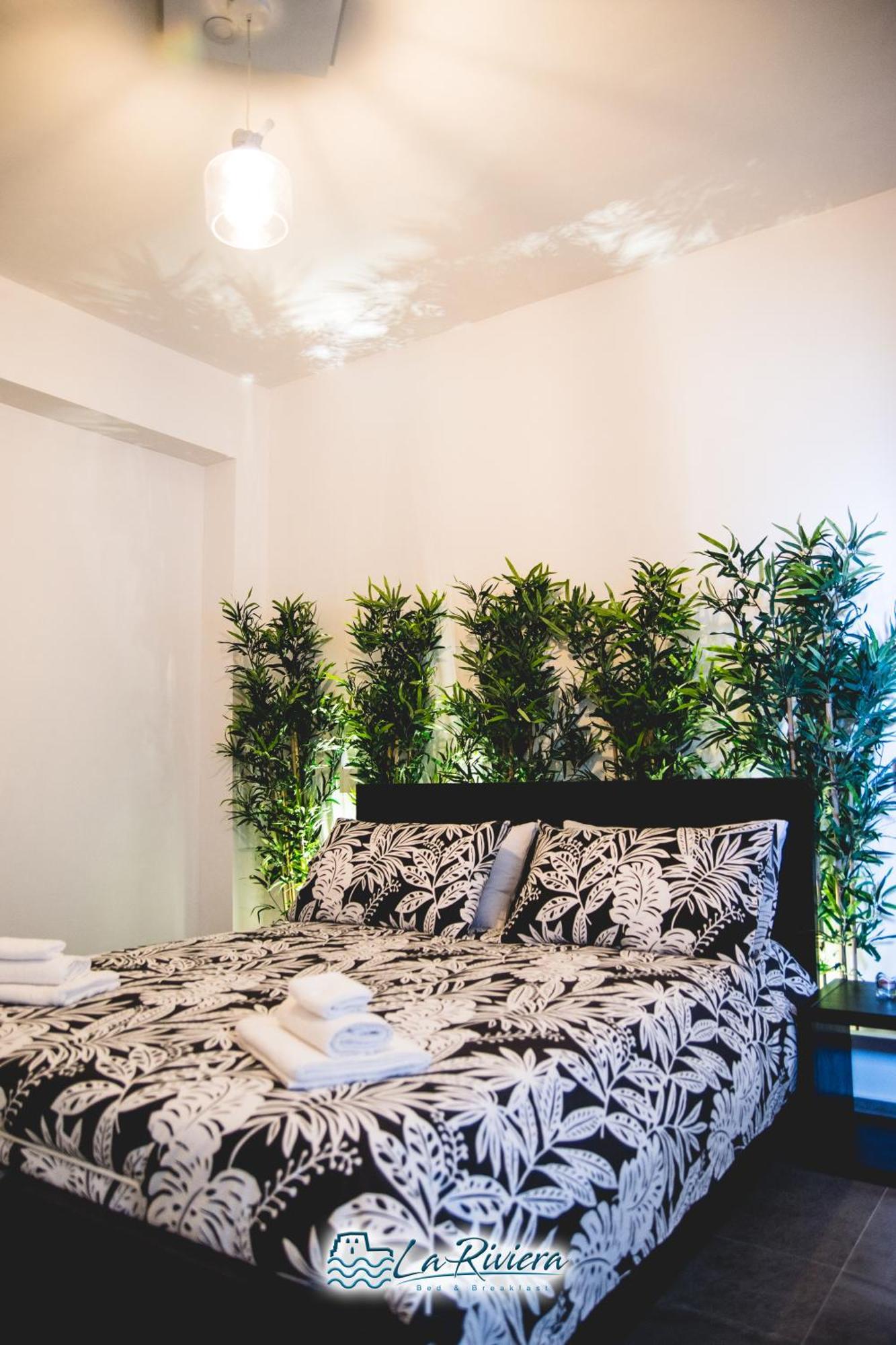 La Riviera Bed & Breakfast Scalea Eksteriør bilde